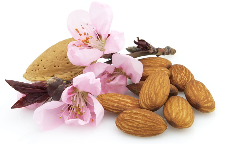 Бадем чува крвоток и јача либидо